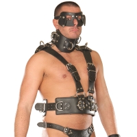 ledapol 8043 sm leather chest harness - gay harness